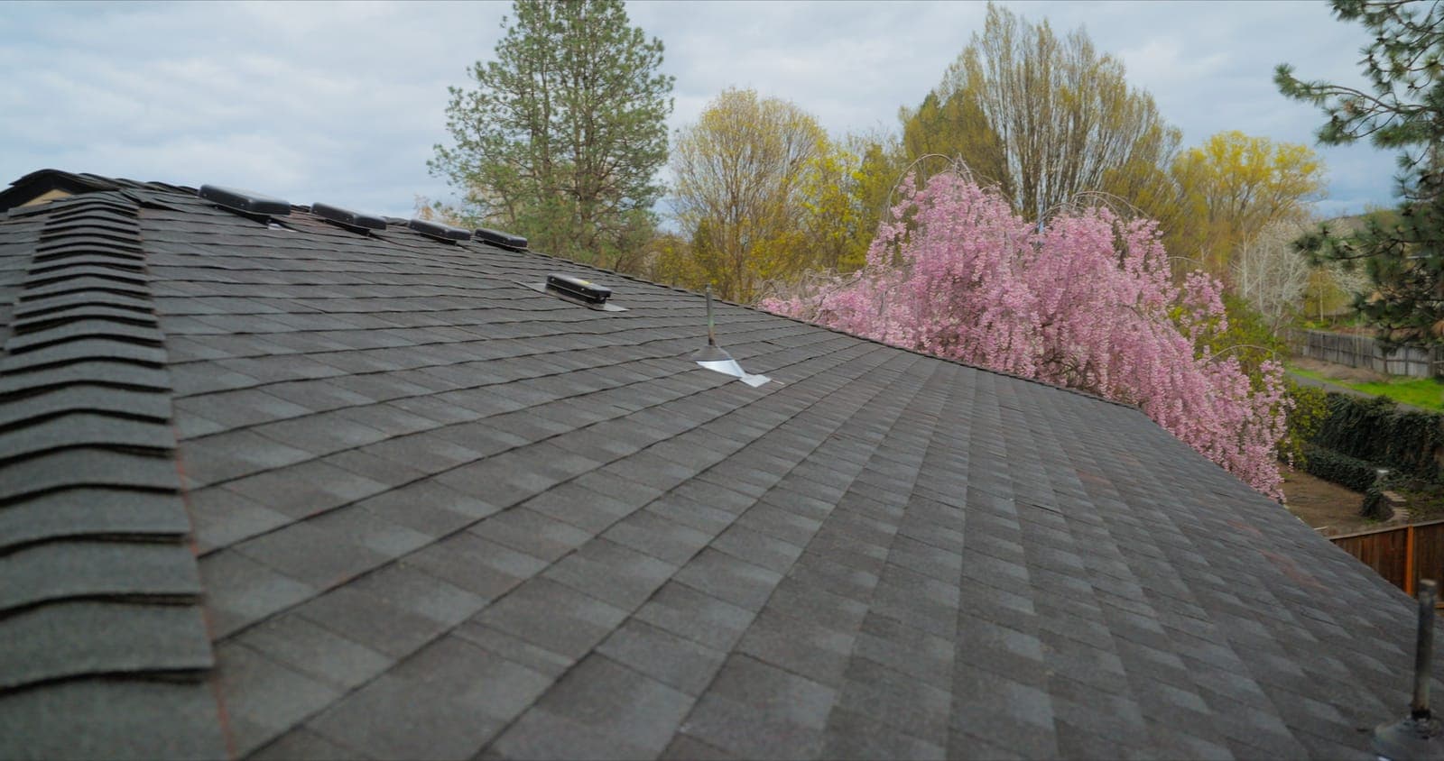 New Roofs