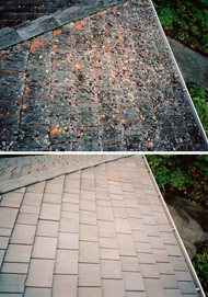Old before mold and damaged roof, and after our company re-roofed a residential home